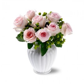 The Cinderella Roses